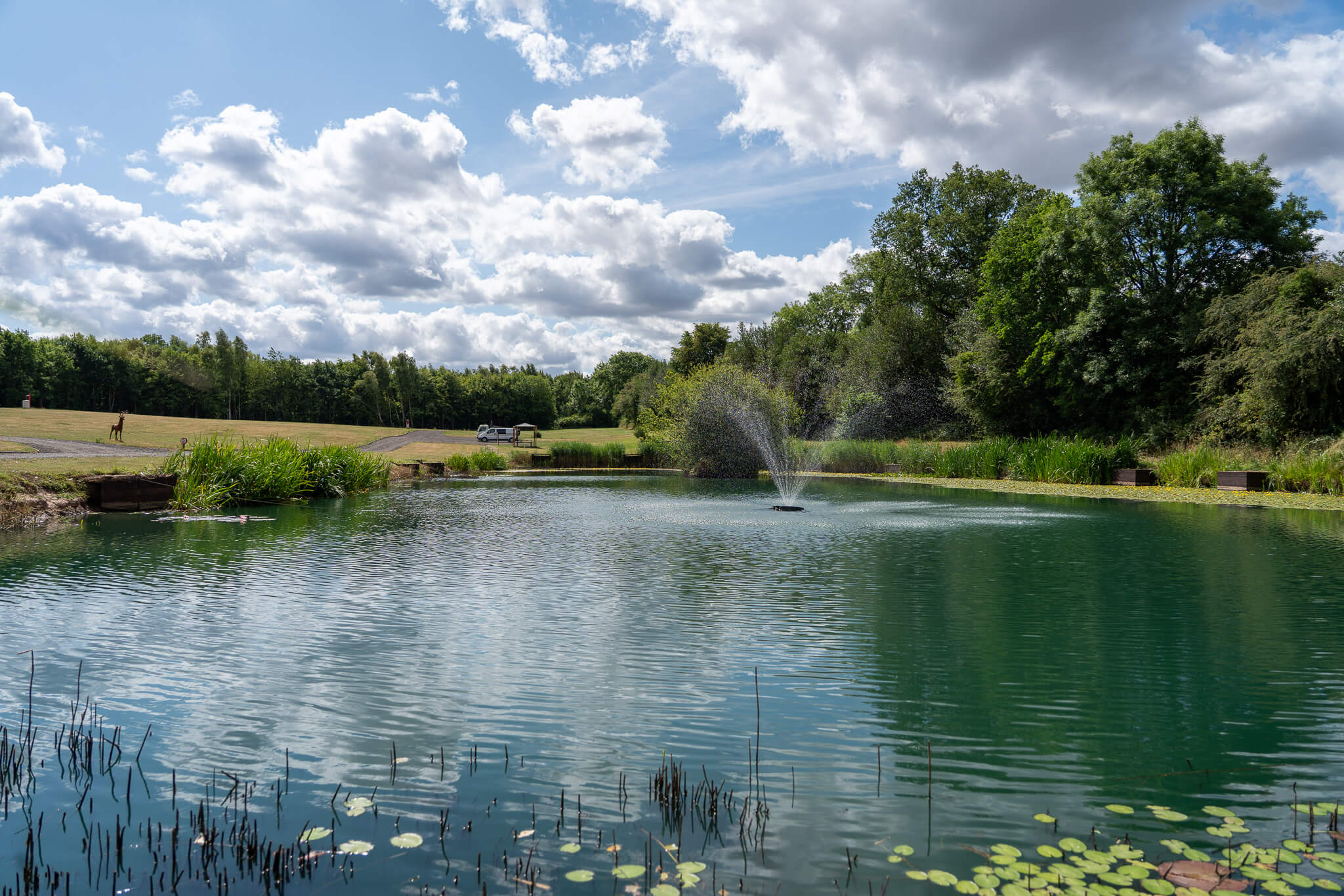 Fishing lake at Swanlake Lodges, photo 4