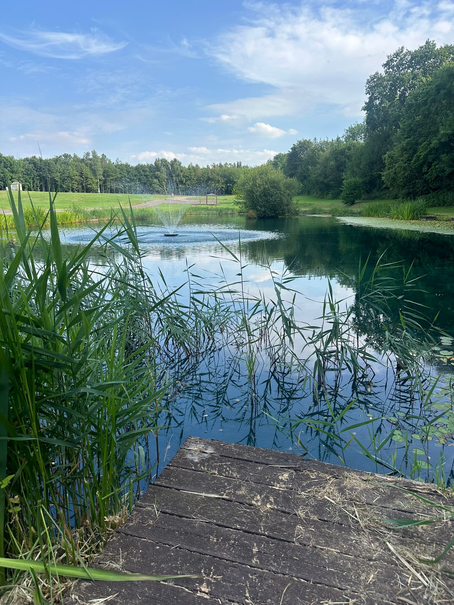 Lodges beside the fishing lakes at Swanlake