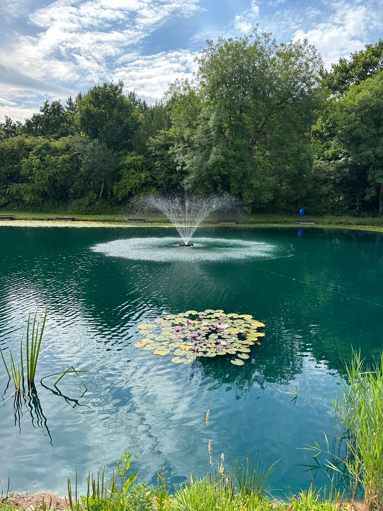 Swanlake Lodges, Leicestershire